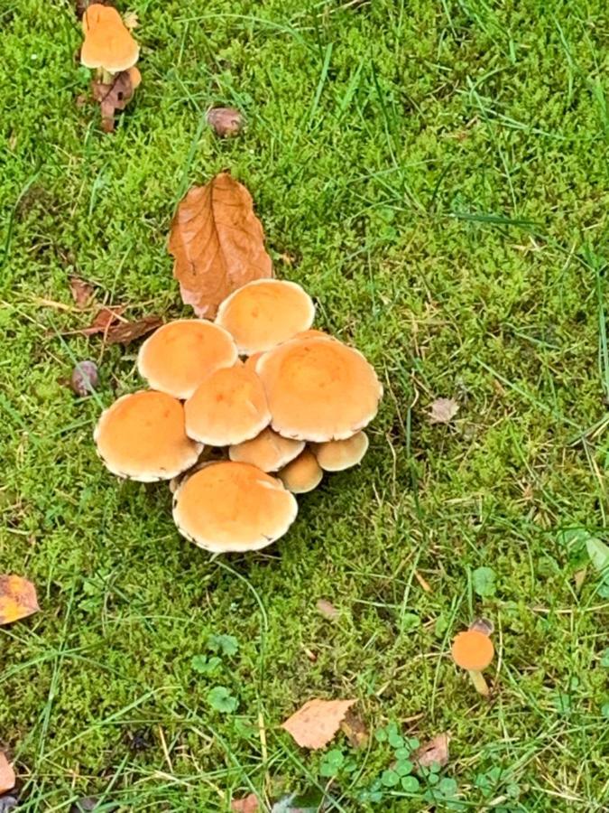 Vosseveen 62 Zelhem Kültér fotó